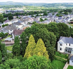 Photo 23- click for photo gallery